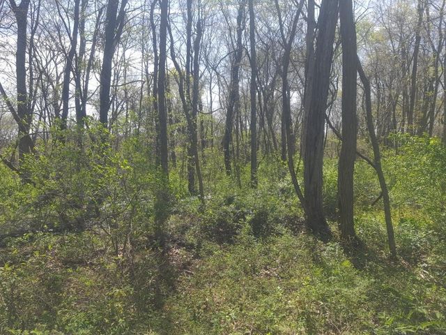 Prairie View Drive, Harrison, AR 72601