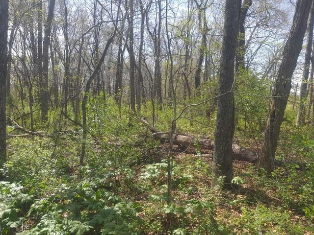 Prairie View Drive, Harrison, AR 72601