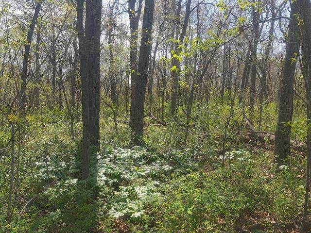 Prairie View Drive, Harrison, AR 72601