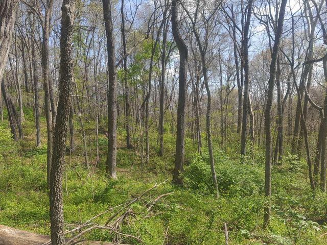 Prairie View Drive, Harrison, AR 72601