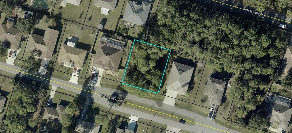 16 BUFFALO MEADOW LANE, Palm Coast, FL 32137