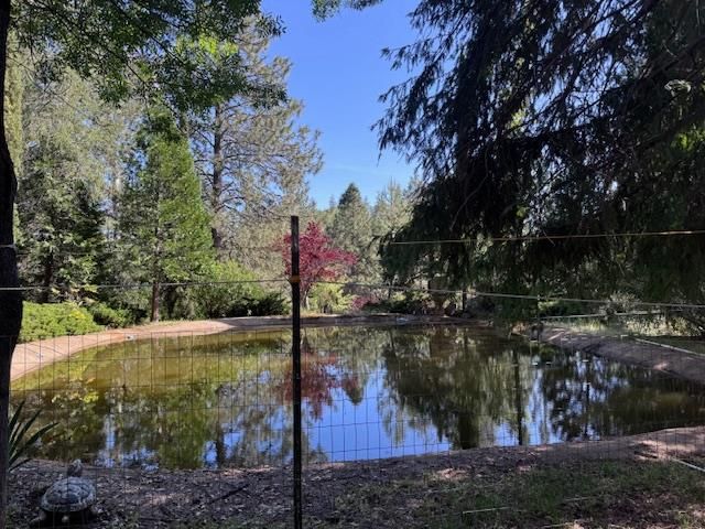 3710 Courageous Rd, Greenwood, CA 95635
