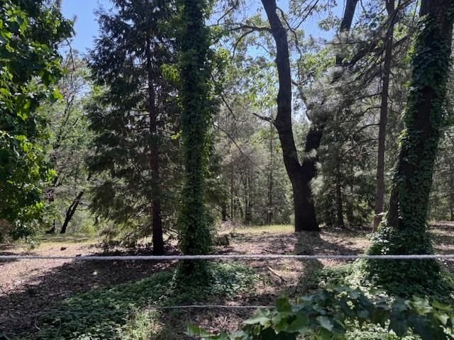 3710 Courageous Rd, Greenwood, CA 95635