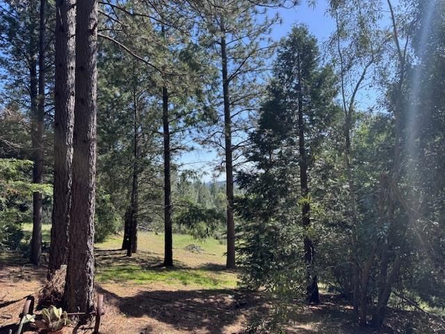 3710 Courageous Rd, Greenwood, CA 95635