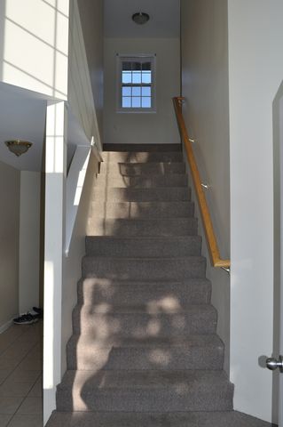 223 S Rush Street 2D, Itasca, IL 60143