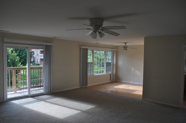 223 S Rush Street 2D, Itasca, IL 60143