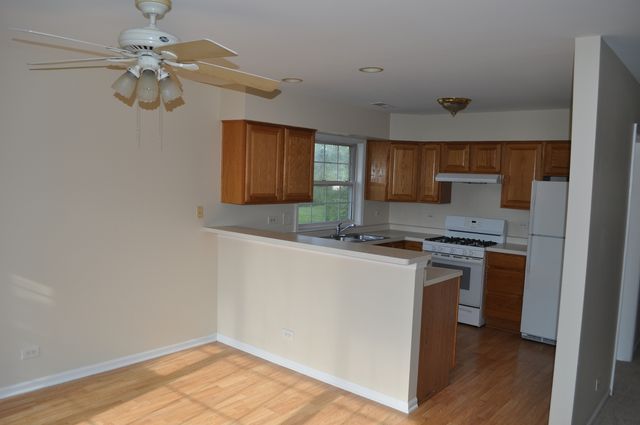 223 S Rush Street 2D, Itasca, IL 60143