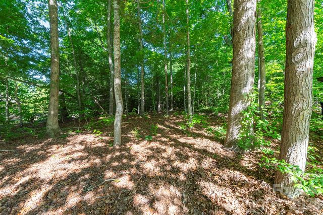 34 Goldmont Street, Black Mountain, NC 28711
