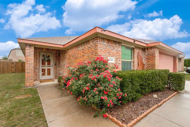 3125 Elam Drive, Anna, TX 75409