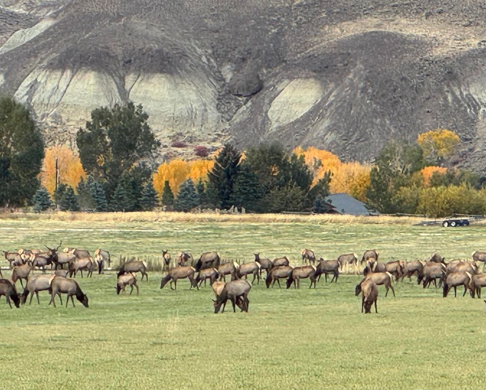 TBD Hawk Dr, Wapiti, WY 82450 photo 8