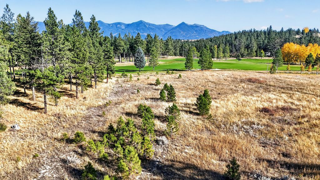 260 Glacier Peaks Road, Eureka, MT 59917 photo 2
