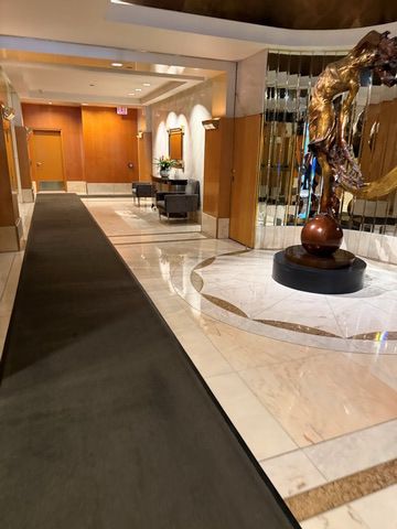 111 E chestnut Street 2A-6, Chicago, IL 60611