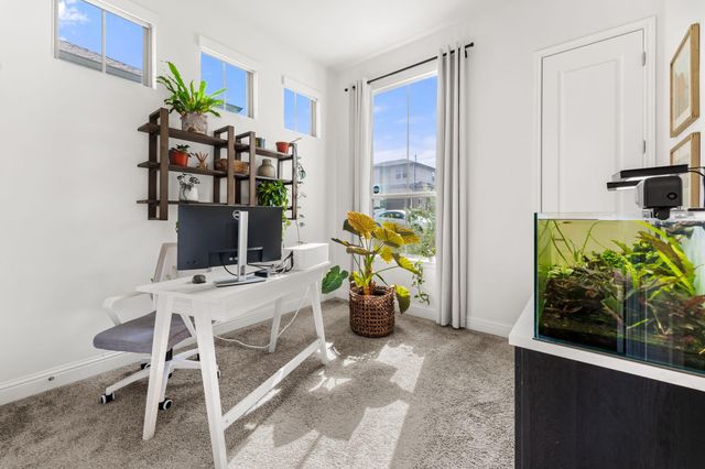 13129 Cardinal Flower DR, Austin, TX 78739