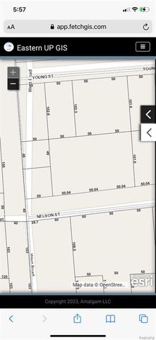 3604 Davenport Avenue, Saginaw, MI 48602