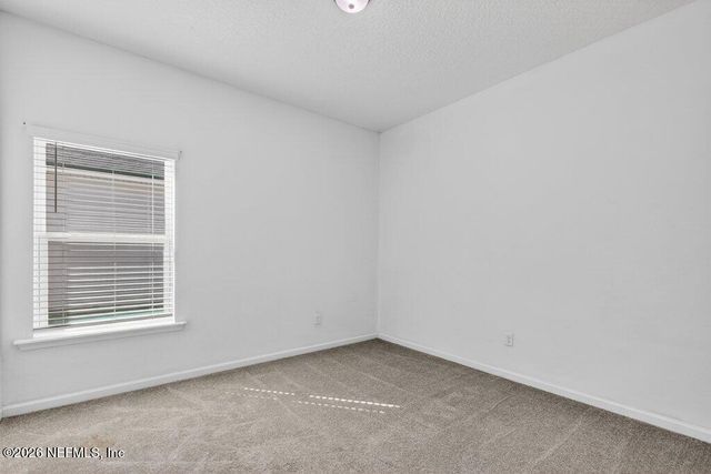 3091 FIRETHORN Avenue, Orange Park, FL 32073