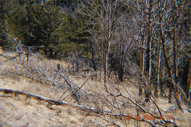 2734 NEWMAN, Fort Garland, CO 81133