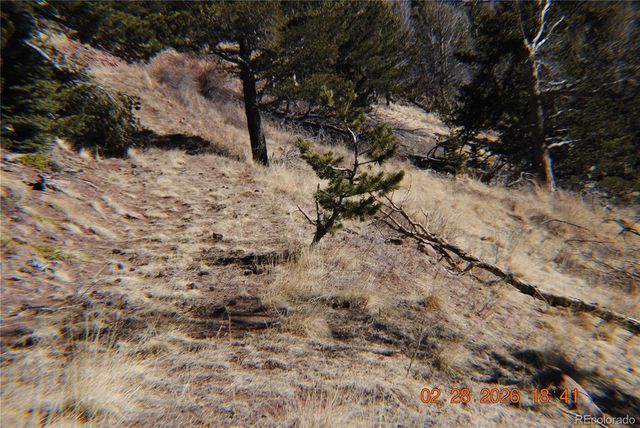 2734 NEWMAN, Fort Garland, CO 81133