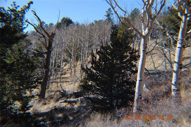 2734 NEWMAN, Fort Garland, CO 81133