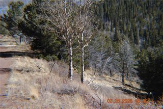 2734 NEWMAN, Fort Garland, CO 81133