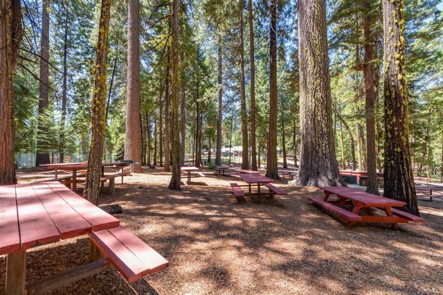 4522 Jibway Dr, Camp Connell, CA 95223