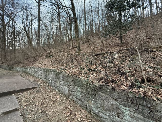 1125 Chickering Park Dr, Nashville, TN 37215