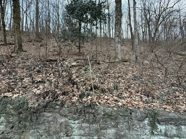 1125 Chickering Park Dr, Nashville, TN 37215