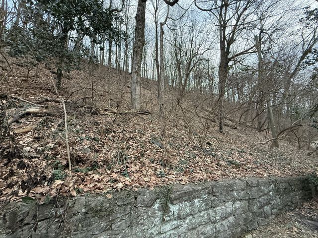 1125 Chickering Park Dr, Nashville, TN 37215