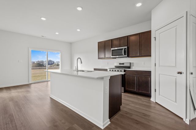 2916 Savana Drive, Joliet, IL 60435