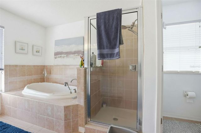 11718 STONEWOOD GATE DRIVE, Riverview, FL 33579