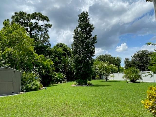 11718 STONEWOOD GATE DRIVE, Riverview, FL 33579