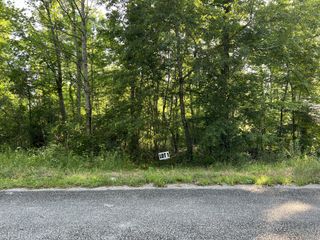 0 Slaughter Rd, Primm Springs, TN 38476