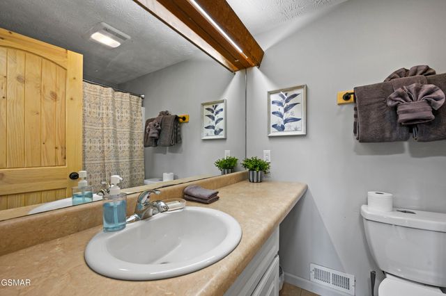 4222 Dollys Drive, Sevierville, TN 37876