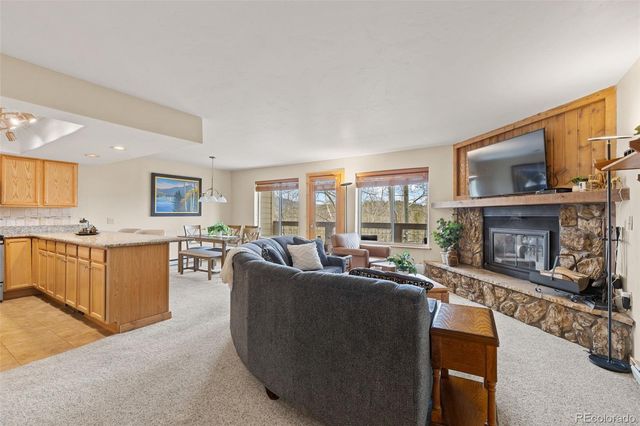 4626 Ryan Gulch Road 4626, Silverthorne, CO 80498