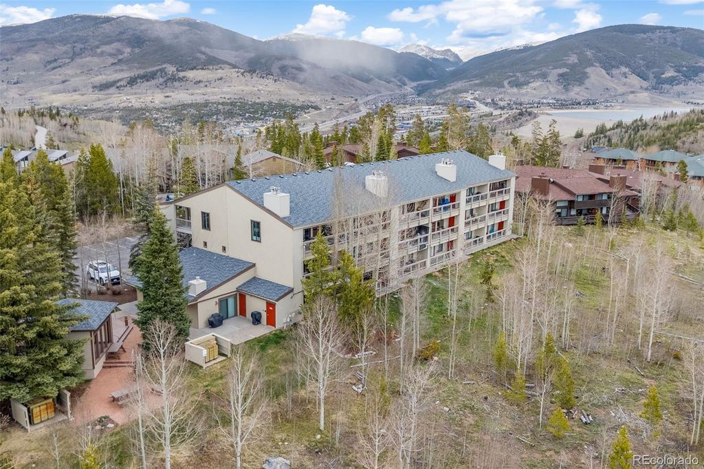 4626 Ryan Gulch Road 4626, Silverthorne, CO 80498