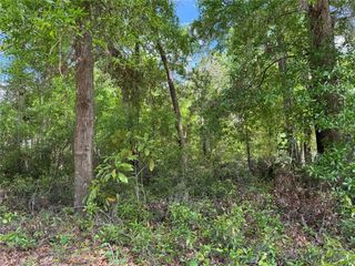 TBD SW CLEARWATER COURT, Dunnellon, FL 34431