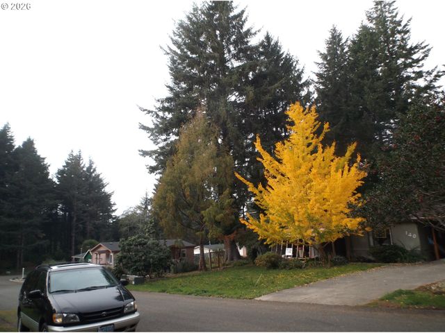 140 WOODGLEN St, Port Orford, OR 97465