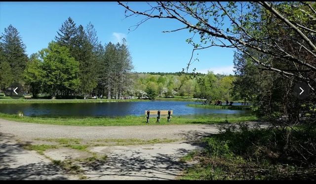 6 Bear Path Lane, Hudson, NH 03051