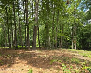 248 Norman Rd, Powell, TN 37849