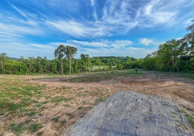 0 Murfreesboro Road, College Grove, TN 37046