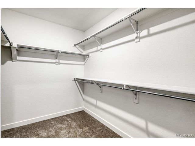 10865 Tundra Top Dr, Parker, CO 80134