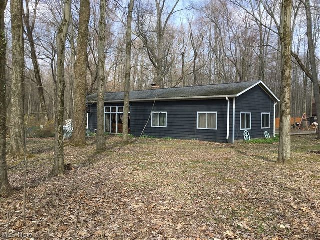 11777 Abbott Road, Hiram, OH 44234