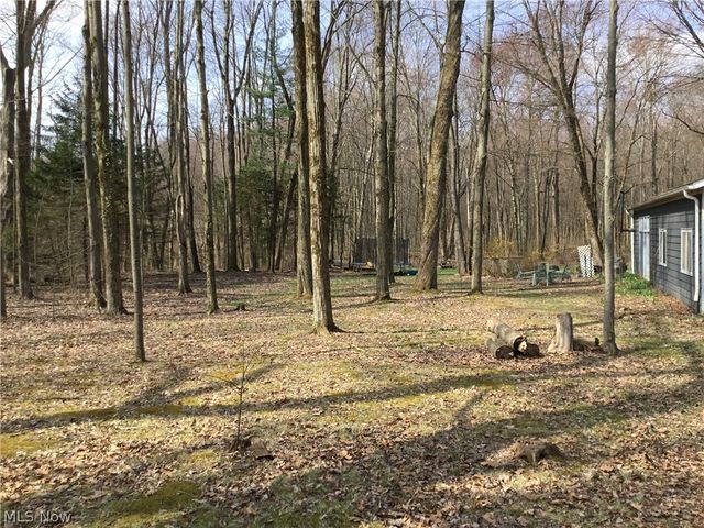 11777 Abbott Road, Hiram, OH 44234