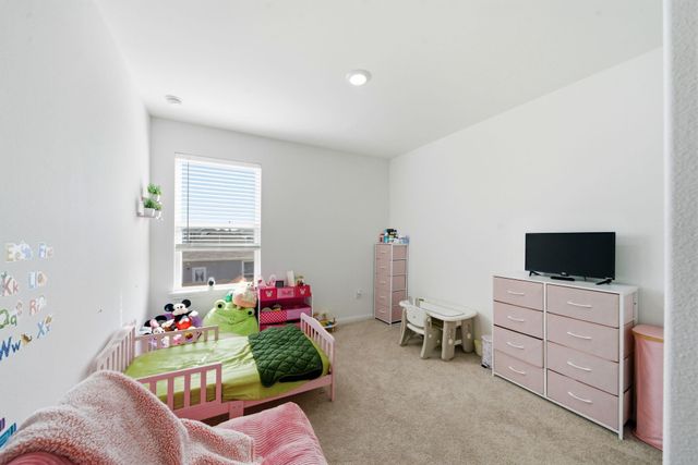 23531 Autumn Harvester Drive, Hockley, TX 77447