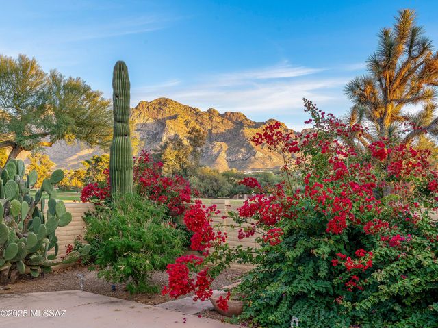 565 W Golf View Drive, Oro Valley, AZ 85737