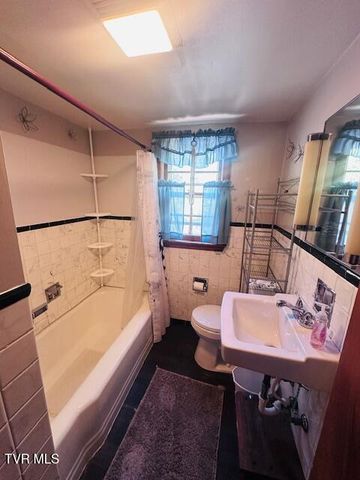 244 Rosenbaum Hollow Lane, Chilhowie, VA 24319