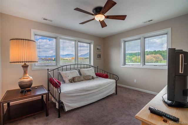 12501 Country Meadow Lane, Salida, CO 81201