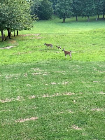 117 Sharp Mountain Crk, Ball Ground, GA 30107