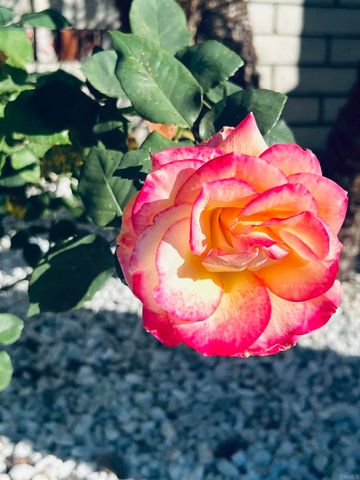 1145 E Barham Drive 48, San Marcos, CA 92078