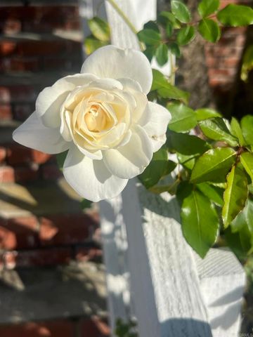 1145 E Barham Drive 48, San Marcos, CA 92078