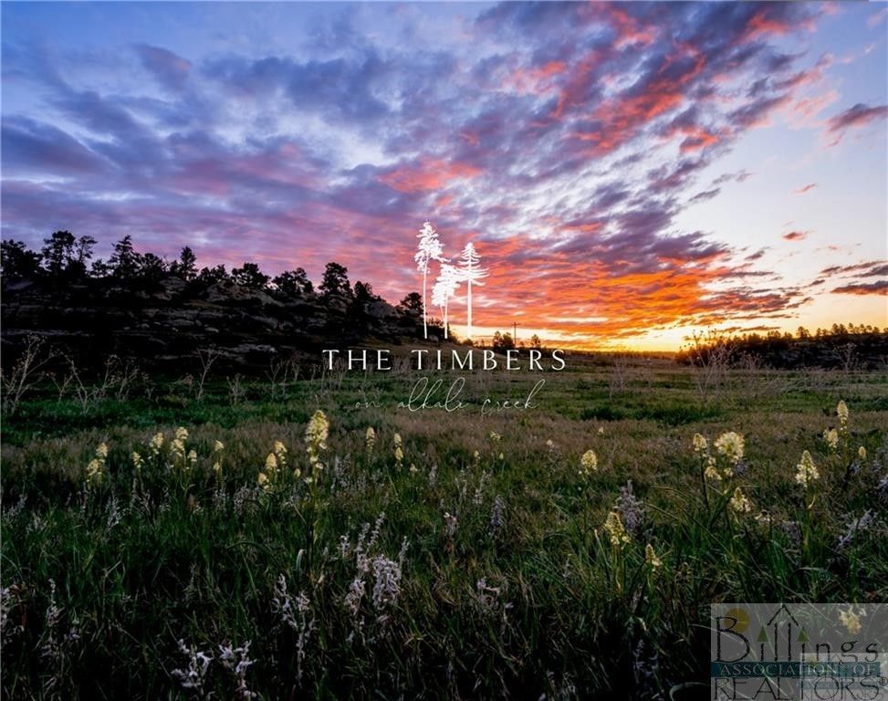 LOT 38 OLIVE LANE, Billings, MT 59105